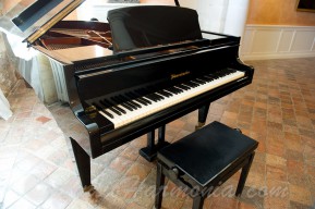 BOSENDORFER - Portes ouvertes AUDIO HARMONIA Octobre 2017