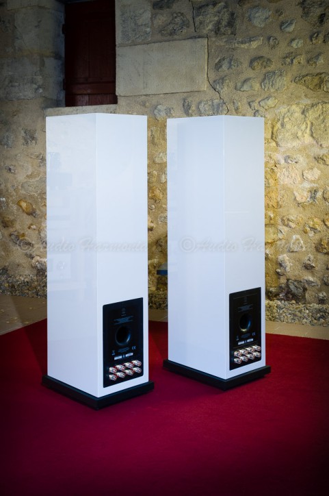 Pascal LOUVET MEMPHIS T occasion / AUDIO HARMONIA Bordeaux