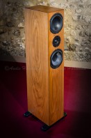 Enceinte Pierre Etienne LEON KANTOR S4 / AUDIO HARMONIA Bordeaux