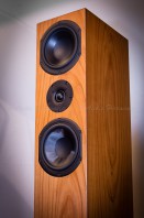 Enceinte Pierre Etienne LEON KANTOR S4 détail / AUDIO HARMONIA Bordeaux