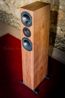 Enceinte Pierre Etienne LEON TOSCANE / AUDIO HARMONIA Bordeaux
