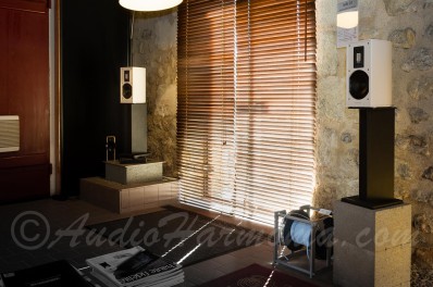 Enceintes sans fil PIEGA PREMIUM WIRELESS 301 G2 chez AUDIO HARMONIA à Bordeaux Bouliac