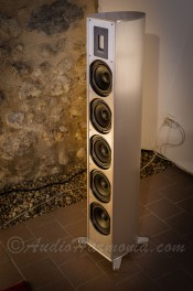 Enceinte sans fil PIEGA PREMIUM WIRELESS 701 G2 chez AUDIO HARMONIA à Bordeaux Bouliac