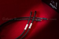 Câbles ABSOLUE TIM-ESSENTIEL modulation RCA / AUDIO HARMONIA Bordeaux