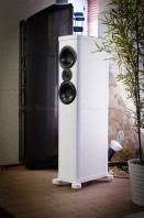 Enceintes WILSON BENESCH PRECISION P2.0 face / AUDIO HARMONIA Bordeaux