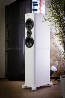 Enceinte WILSON BENESCH PRECISION P2.0 côté / AUDIO HARMONIA Bordeaux