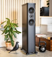 Enceinte WILSON BENESCH PRECISION P2.0 face / AUDIO HARMONIA Bordeaux